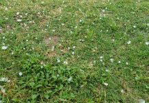 Hail and Heavy Rain in north San Angelo